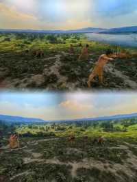 暖居半坡畔 解鎖西安冬日親子漫遊