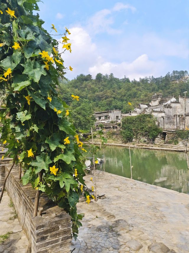 景德鎮1日包車遊打卡寶藏瓷都 景德鎮1日包車遊打卡寶藏瓷都