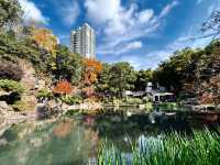 魔都小眾治癒地輔德里公園|市中心藏的森林綠洲