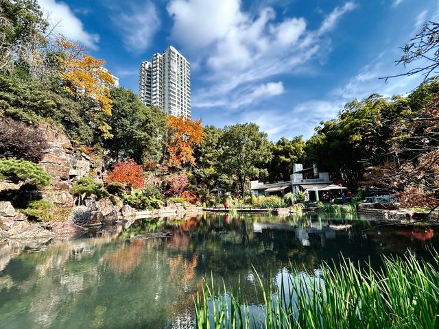 魔都小眾治癒地輔德里公園|市中心藏的森林綠洲 魔都小眾治癒地輔德里公園|市中心藏的森林綠洲