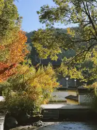 千島湖的秋意已加載完畢