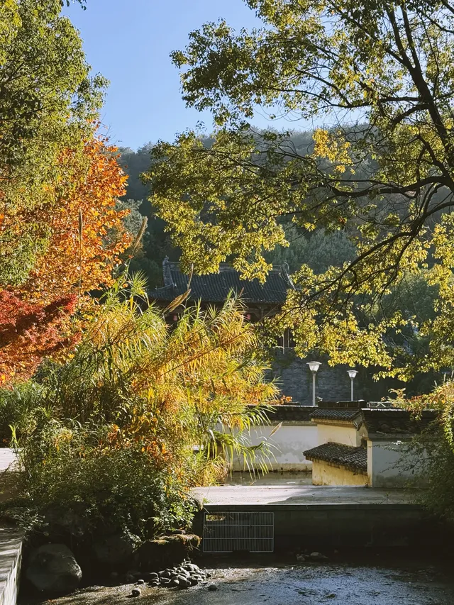 千島湖的秋意已加載完畢