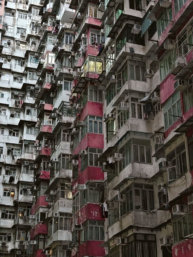 Hong Kong Zen✨ Hong Kong Zen✨