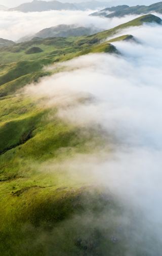 ออกสำรวจทุ่งหญ้า ดินแดนสวรรค์บนดิน