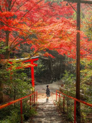 Путешествие в дзен японских храмов и святынь