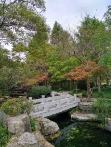 免費且24h開放!上海小眾江景公園,騎行觀鳥太絕了