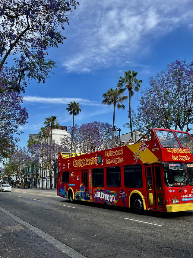 Los Angeles – Sunshine, City Lights & That Hollywood Dream