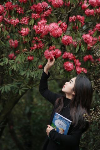 ทุ่งดอกไม้ร้อยลี้ที่สวยงามที่สุด