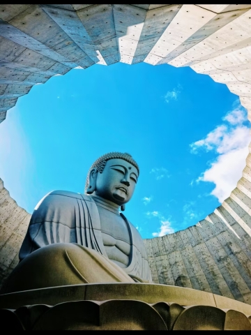 穹頂の下の凝視 | Trip.com 札幌