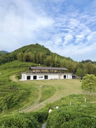 Check out this mountaintop coffee shop in Shangyu! It boasts a stunning view overlooking the entire mountain!