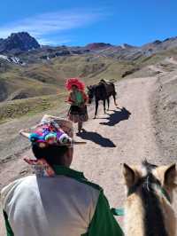 Trip of a Lifetime in Peru with Exceptional Guide Jimmy