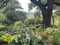Stunning Views and Serene Gardens