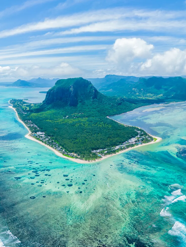 🌊🐋 毛里求斯:遠洋探險之旅,觀賞抹香鯨及其他海洋生物