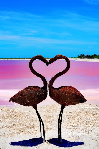 A Pink Lake Reflecting the Scenery: Enjoying the Romantic Charm of Cancun's "Pink Lake"