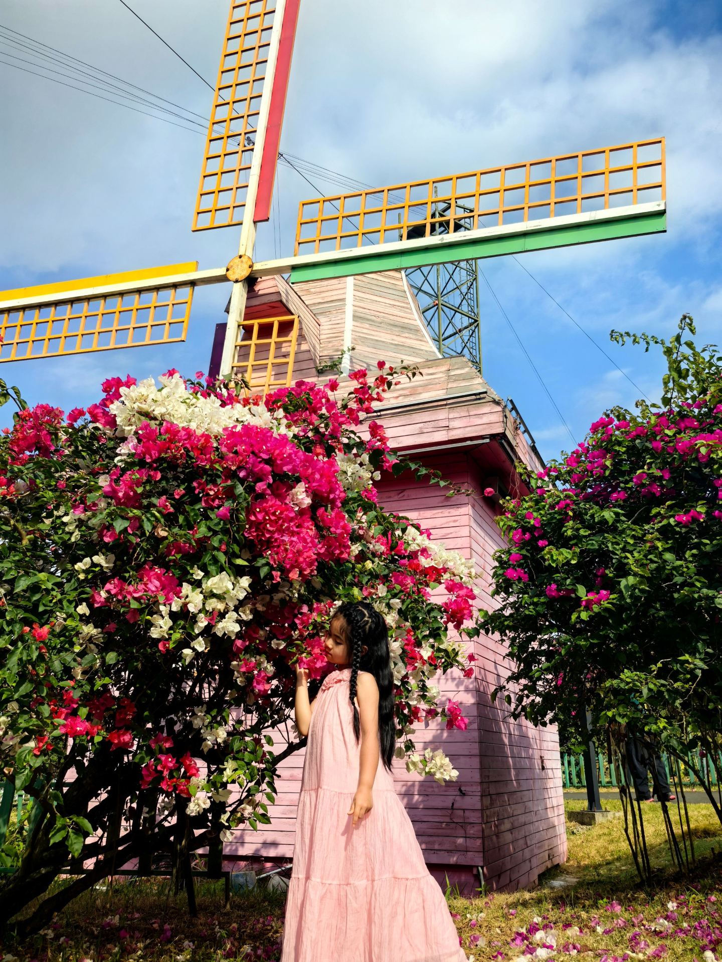 Hainan must-visit | window to the world's tropical fruits, northerners call it amazing!