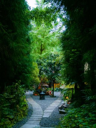 1.5h from Chengdu: Take the kids to a private hot spring forest homestay~