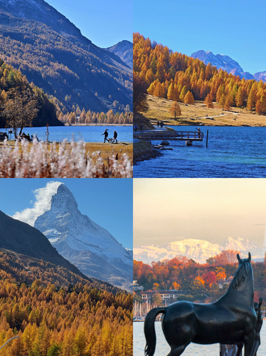 Swiss painted autumn | Collect autumn in the Alps | Trip.com Furna