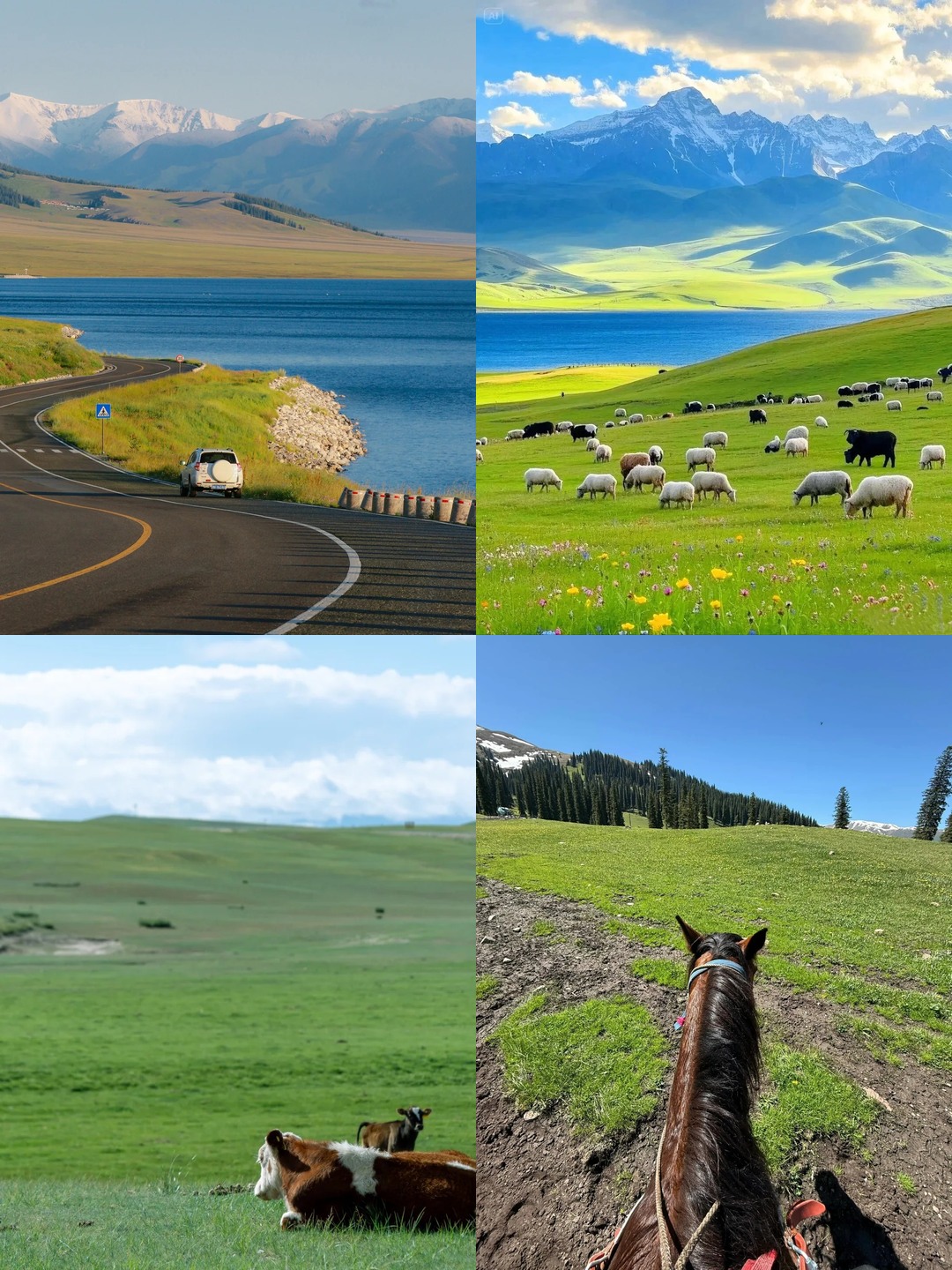 Choose the right accommodation base for your first 3-day trip to Bayanbulak Grassland