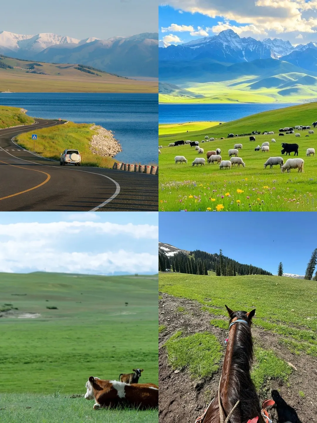 Choose the right accommodation base for your first 3-day trip to Bayanbulak Grassland