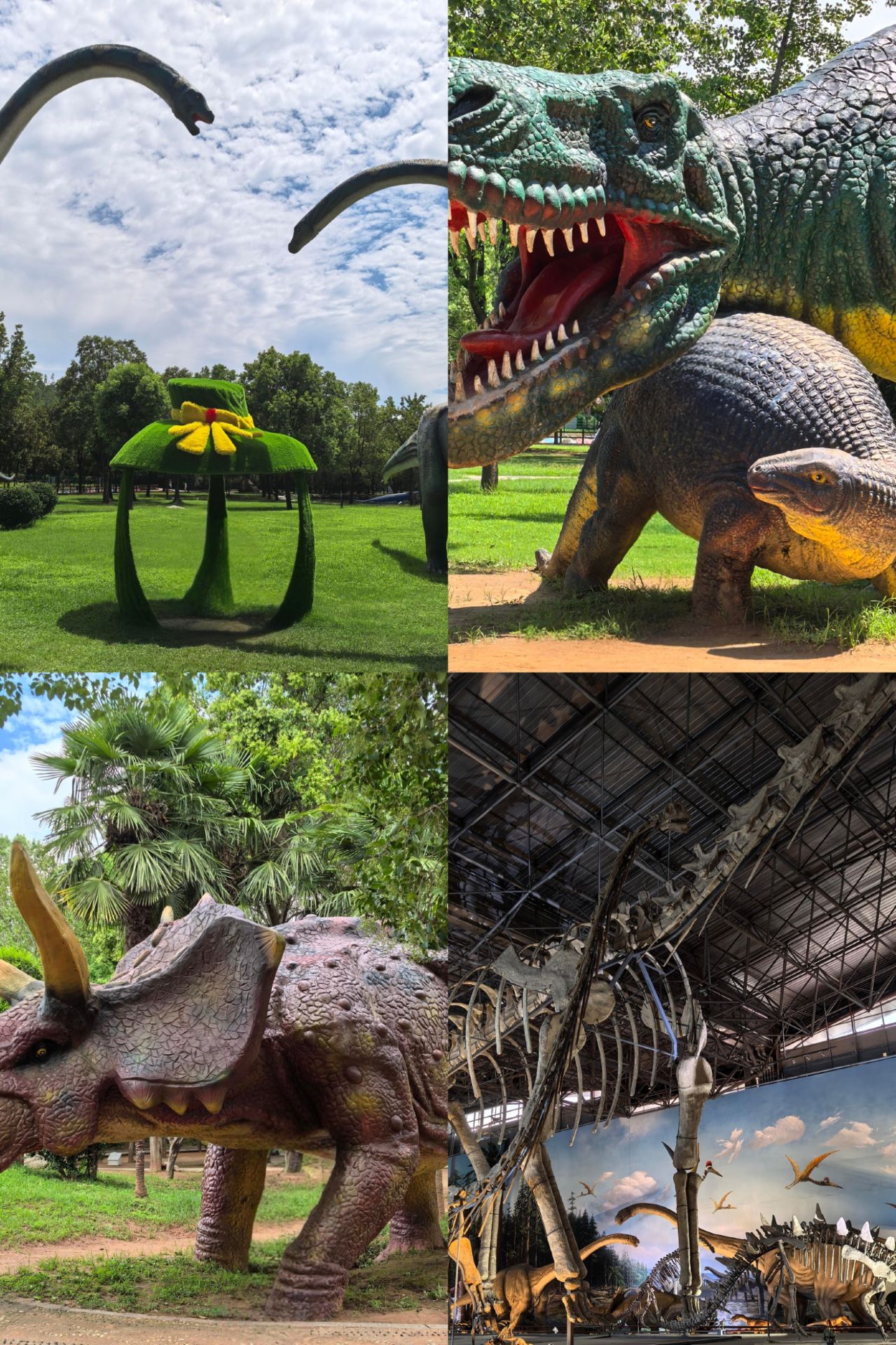 Xixia 3 days 2 nights | Explore 4 popular spots in one go! No backtracking for your autumn trip