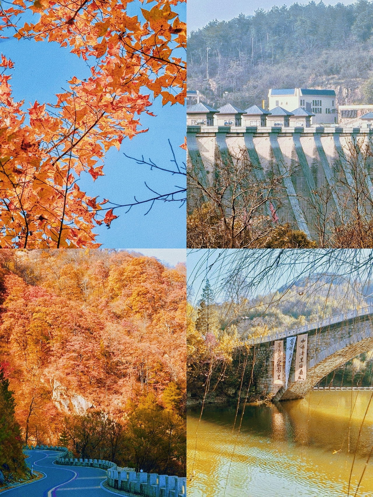 Just got back from Mazongling, and the golden romance is still lingering! Here's the honest truth