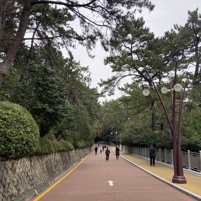 부산 야외 가볼만한곳 동백섬