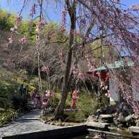 花花世界～天龍寺～熱門景點