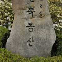 4월30일까지  군포철쭉동산  