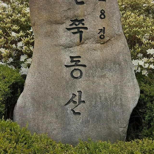 4월30일까지  군포철쭉동산  