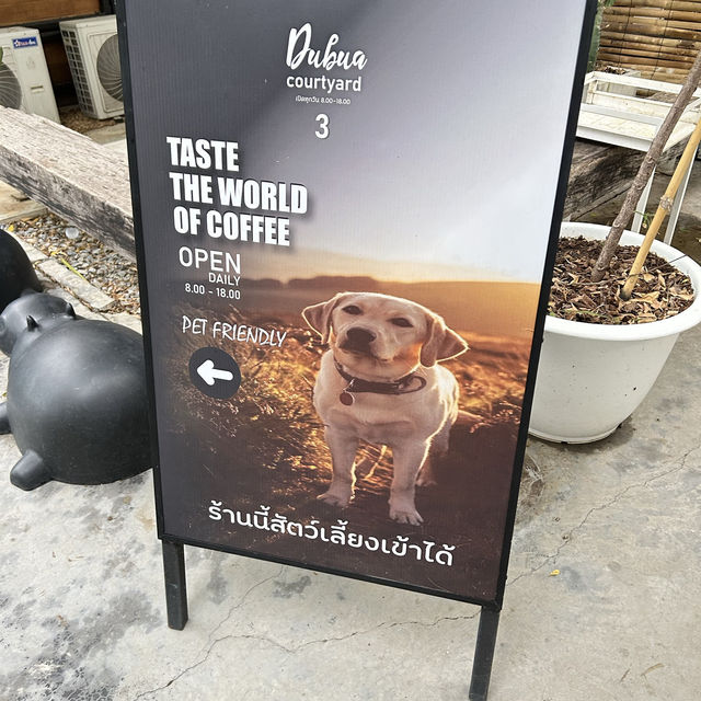 ดูบัว คาเฟ่ เพลินกับสัตว์มากมาย