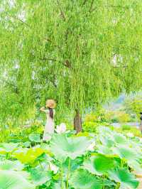 🌿5월 꼭 가봐야할 대구•경주 여행지🌸
