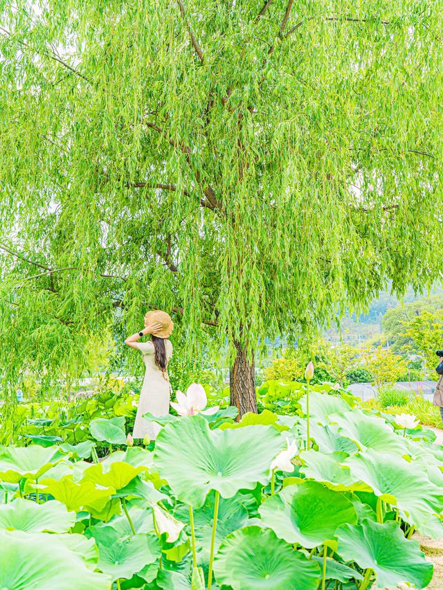 🌿5월 꼭 가봐야할 대구•경주 여행지🌸