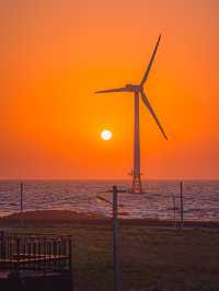 🌅노을과 풍차뷰가 예쁜 제주카페 [제주, 원웨이]🌊