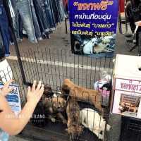 ตลาดน้ำอัมพวา