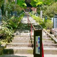 【福島】樹齢100年超えの樹木に癒される山の中の寺院