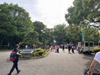 東京放電好去處