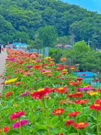 충남 아산가볼만한곳 신정호수❣️