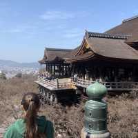 夏の京都をゆかたで街並みを歩く、祇園で美味しく食べ満喫しよう！