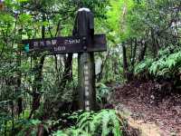 เดินป่าสำรวจอุทยานธรรมชาติ บนภูเขา🌳🏕️