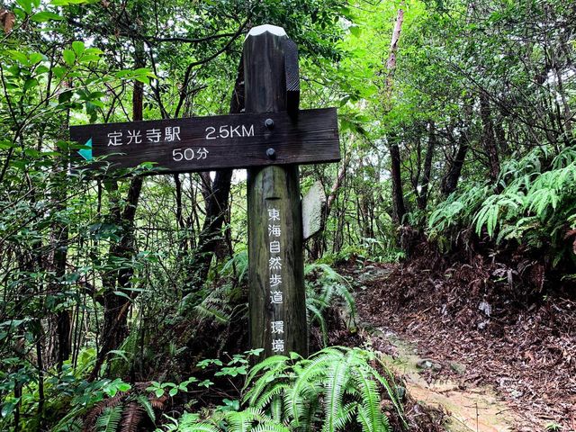 เดินป่าสำรวจอุทยานธรรมชาติ บนภูเขา🌳🏕️