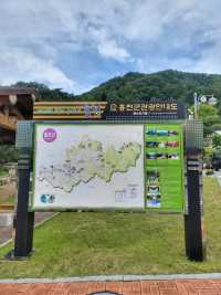 무궁화 보기 힘든 요즘 가볼만한 곳🩷