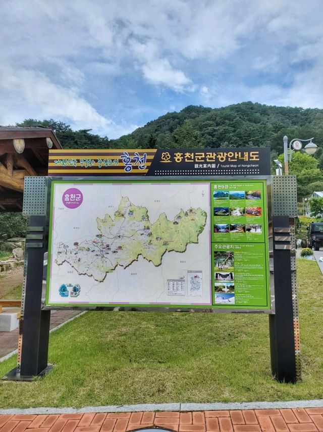 무궁화 보기 힘든 요즘 가볼만한 곳🩷
