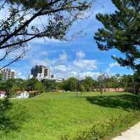 大湳森林公園 🌳