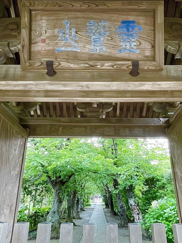 【神奈川県/極楽寺】風情ある山門に導かれる寺院