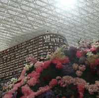 📖星空圖書館夢幻之旅🏯