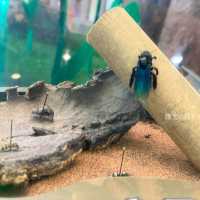 《迷你版生物多樣性博物館在將軍澳》