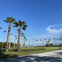 沉浸大自然！海之中道海濱公園