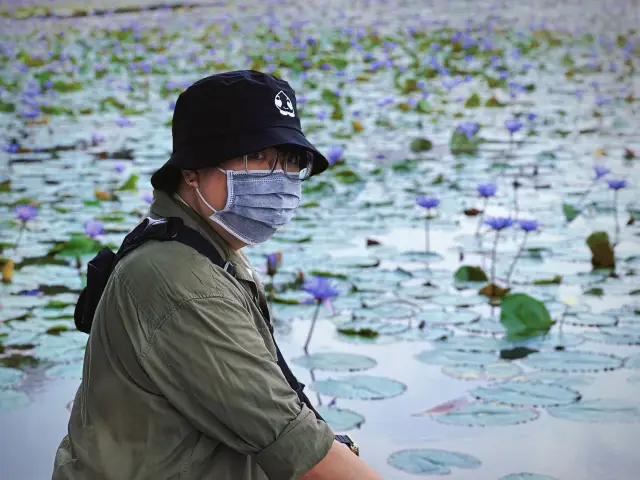 Lotus Pond in Singapore?!