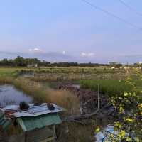 Vietnam countryside