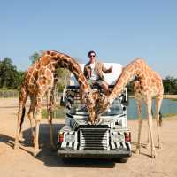 Safari Park, Kanchanaburi บ่อพลอย